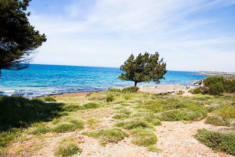 A House Between Ancient Olympia And The Ionian Sea Levendokhorion Bagian luar foto