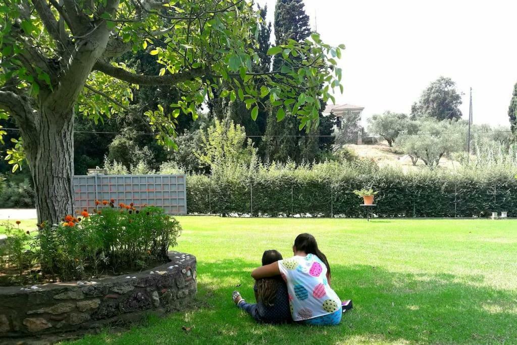 A House Between Ancient Olympia And The Ionian Sea Levendokhorion Bagian luar foto